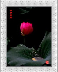 余香的香怎么组词