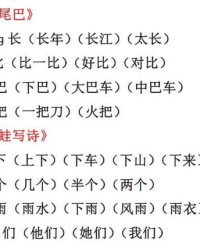 仔字怎么写怎么组词呢