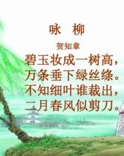 咏柳的咏怎么组词