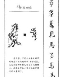 马轻声怎么组词