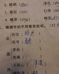 婉可以怎么组词