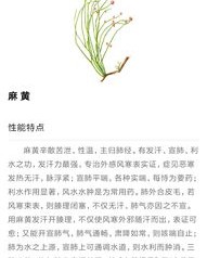 医生的腾怎么组词