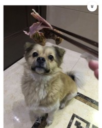 笑眯眯的眯怎么组词