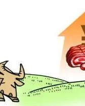 牛肉的肉组词怎么写