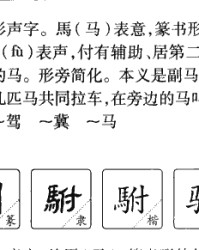 一匹马怎么组词(一匹马的匹组词怎么组)