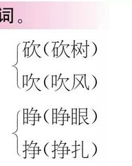 诉怎么组词(诉怎么组词一年级)