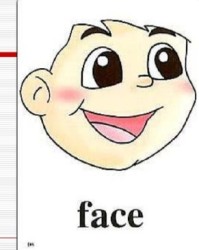 脸的英语怎么组词啊