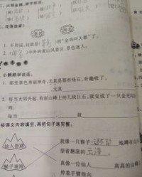尤其怎么组词