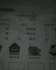 譬怎么组词语(譬字怎么组词是什么)