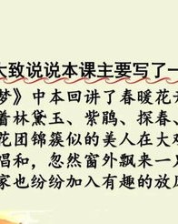 放什么放怎么组词