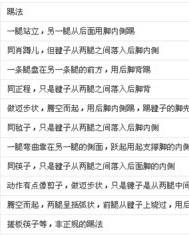 毛毽子的毽怎么组词