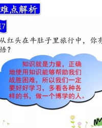 紫色的肚怎么组词