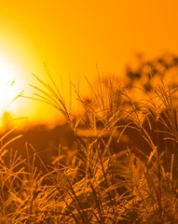 轻怎么组词(轻怎么组词语和拼音)