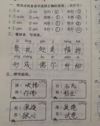 翼组词(翼组词和部首)