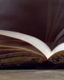 猛怎么组词(猛怎么组词?)