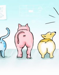 屁股的组词(屁股的组词怎么写)