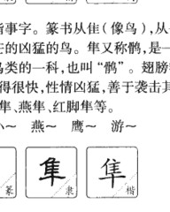 隼组词和拼音(隼组词和拼音部首)