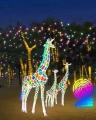 灯光的灯组词(灯光怎么组词成语)