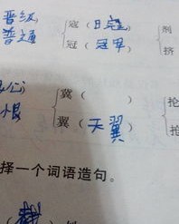告怎么组词小学生