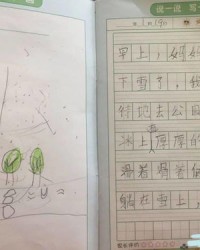 放鲜花的鲜怎么写组词