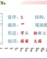 解可以怎么组词