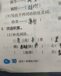 齿组词语(齿组词语和拼音部首)