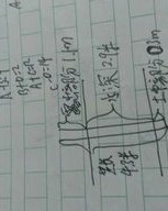 小度竹子的竹怎么组词