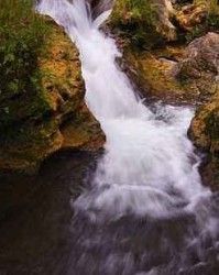 购的拼音与组词怎么写