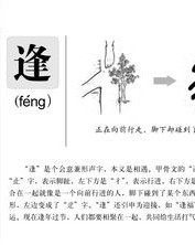 荆棘怎么组词语