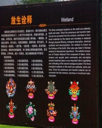 战役的役还能怎么组词