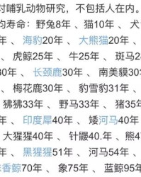 小度蝙蝠怎么组词