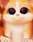 你好uu猫怎么组词