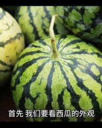 括怎么组词西瓜的瓜