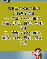 用兴组词(用兴组词画一幅画怎么画)