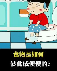 变成大便怎么组词
