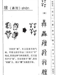 存组词和部首(存组词组和部首)