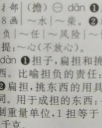 担的组词(担的组词怎么组)