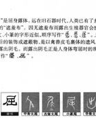 马字旁的屈怎么组词