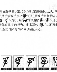 查部首和组词(查部首和组词怎么写)