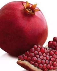 水果石榴怎么组词造句