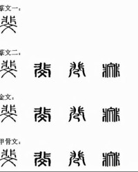 拽怎么读组词(拽怎么组词?)