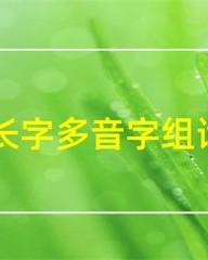 常多音字组词(常多音字组词和拼音怎么写)
