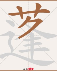 蓬怎么组词语(蓬怎么组词组)