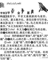 翘在前面怎么组词