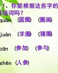 壳读音组词(壳的拼音组词怎么写)