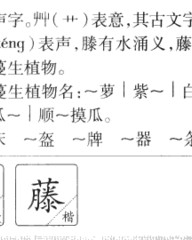 藤的拼音和组词(藤的拼音和组词和部首)