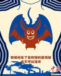 蝙蝠的中还能怎么组词