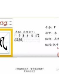 枫枫的组词(枫枫的枫怎么组词)