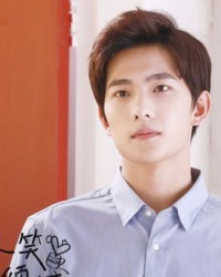 杨洋升起的杨怎么组词