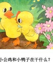 哎呀我去公鸡怎么组词